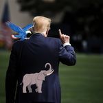 Don Bhai Wapas Hamesha ke Liye - India Song Download